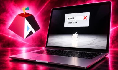 Asahi Linux Golden Gate boot picker APFS flag