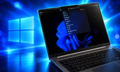 Windows 11 Search Bing off switch KB5124008